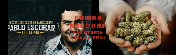 apvp Арсеньев
