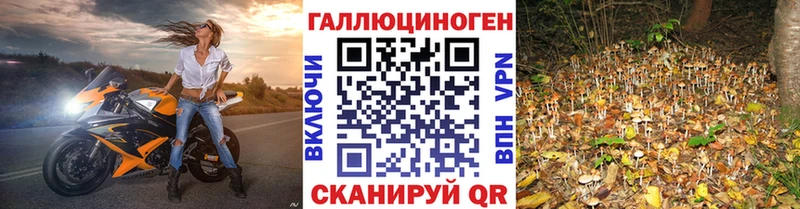 Галлюциногенные грибы мицелий как найти закладки Серов