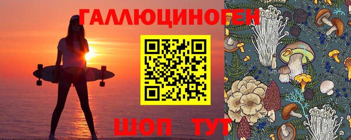 Псилоцибиновые грибы MAGIC MUSHROOMS  Вход с VPN  Серов 