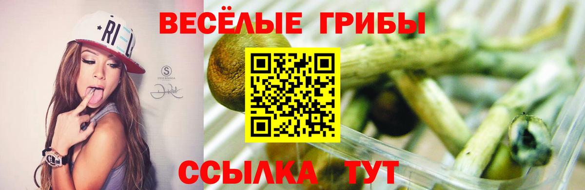 Галлюциногенные грибы GOLDEN TEACHER Серов